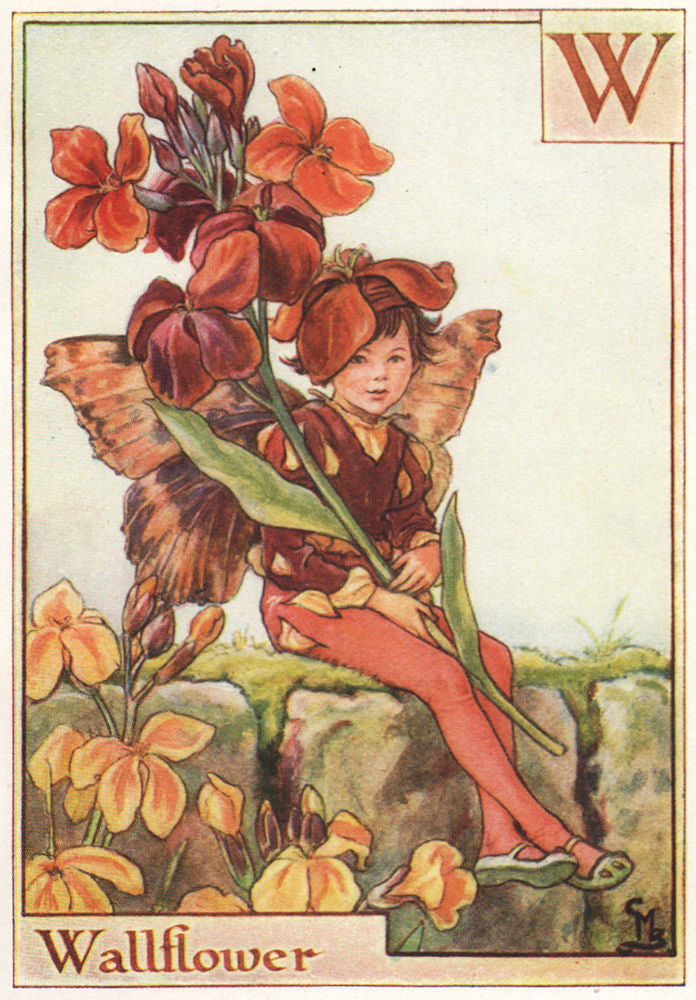 W = Wallflower Fairy by Cicely Mary Barker. Alphabet Flower Fairies c1934